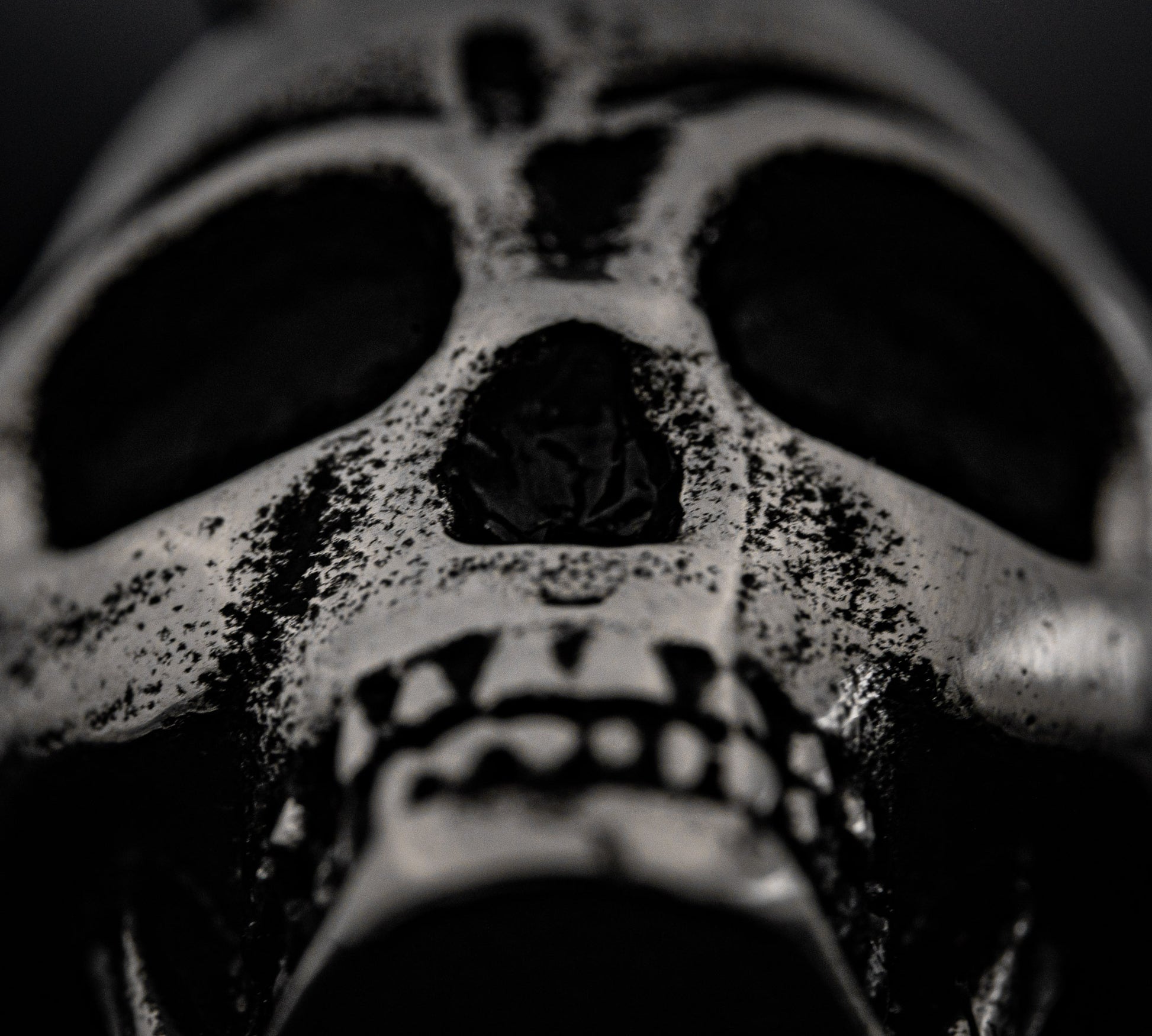 VAEGAR Skull Necklace